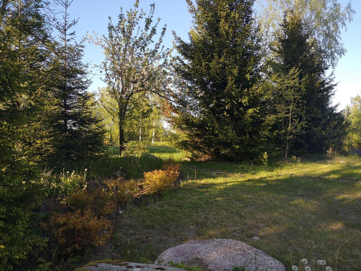 Brivdienu Maja "Raudini" Kaltene Buitenkant foto