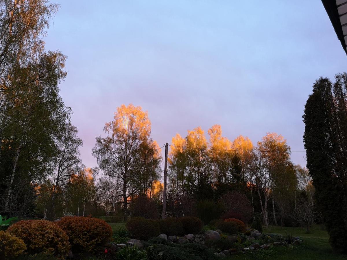Brivdienu Maja "Raudini" Kaltene Buitenkant foto