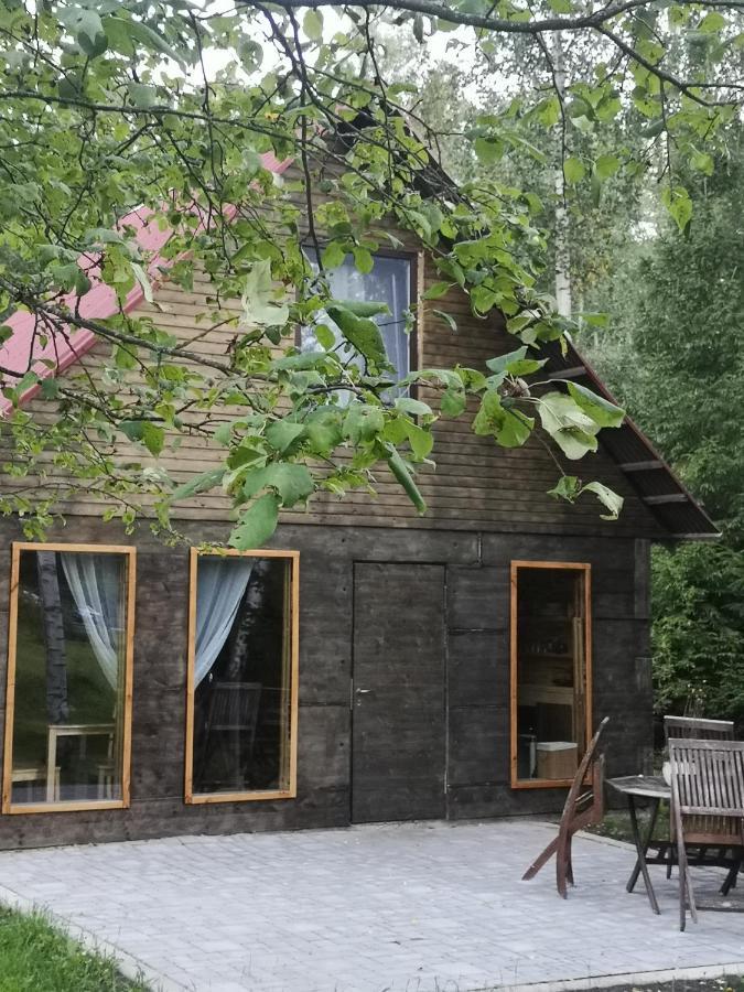 Brivdienu Maja "Raudini" Kaltene Buitenkant foto