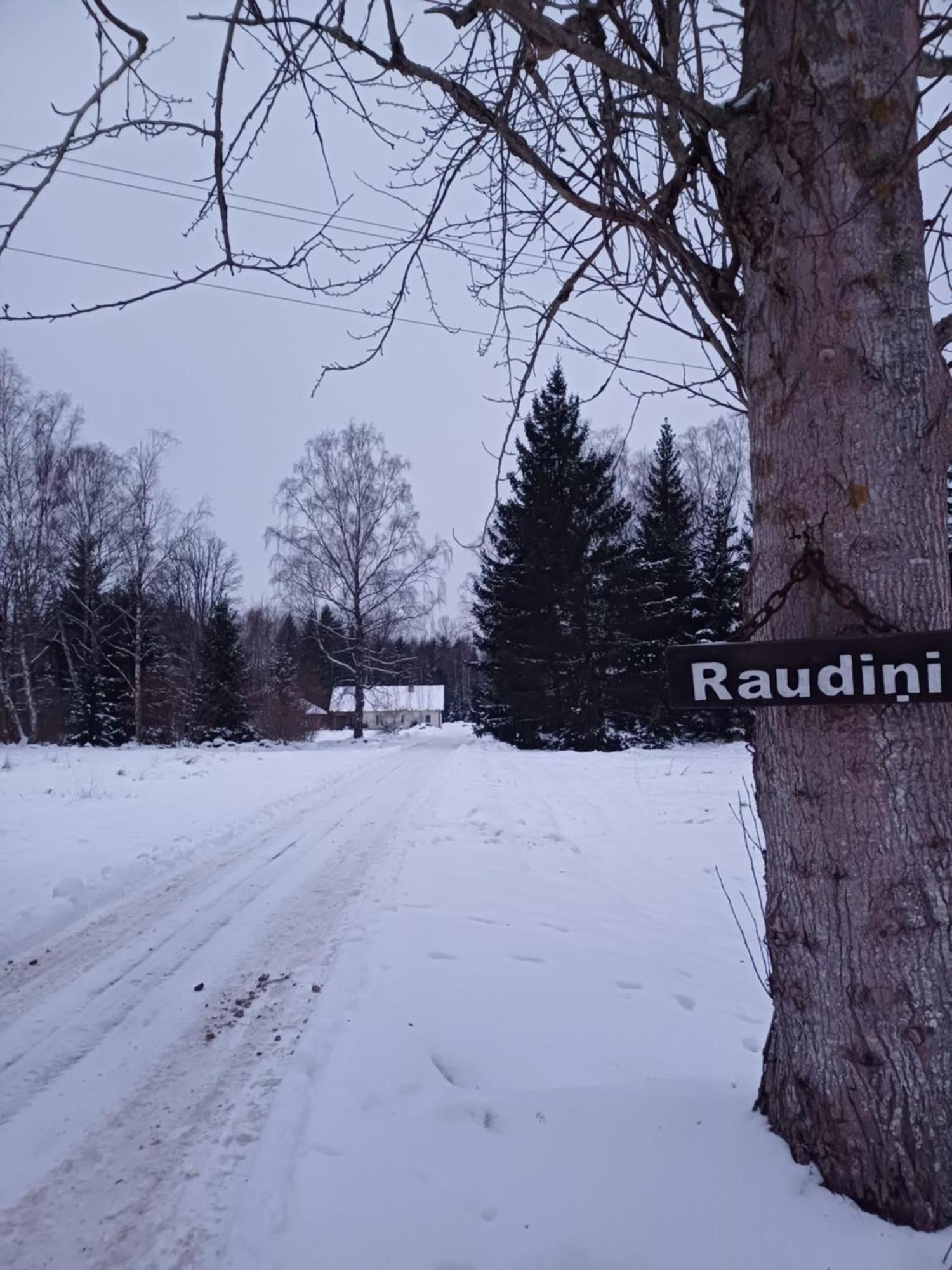 Brivdienu Maja "Raudini" Kaltene Buitenkant foto
