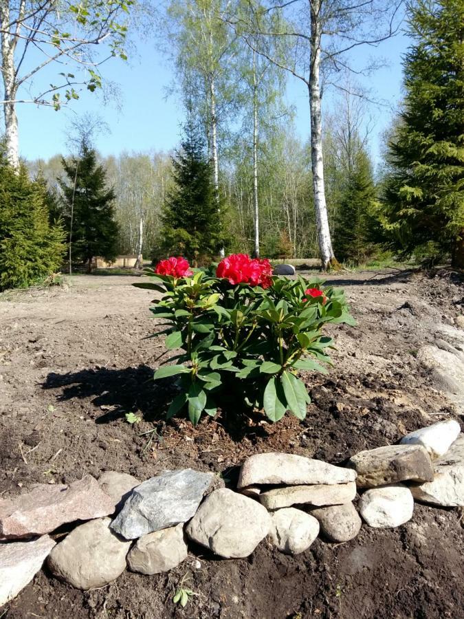 Brivdienu Maja "Raudini" Kaltene Buitenkant foto