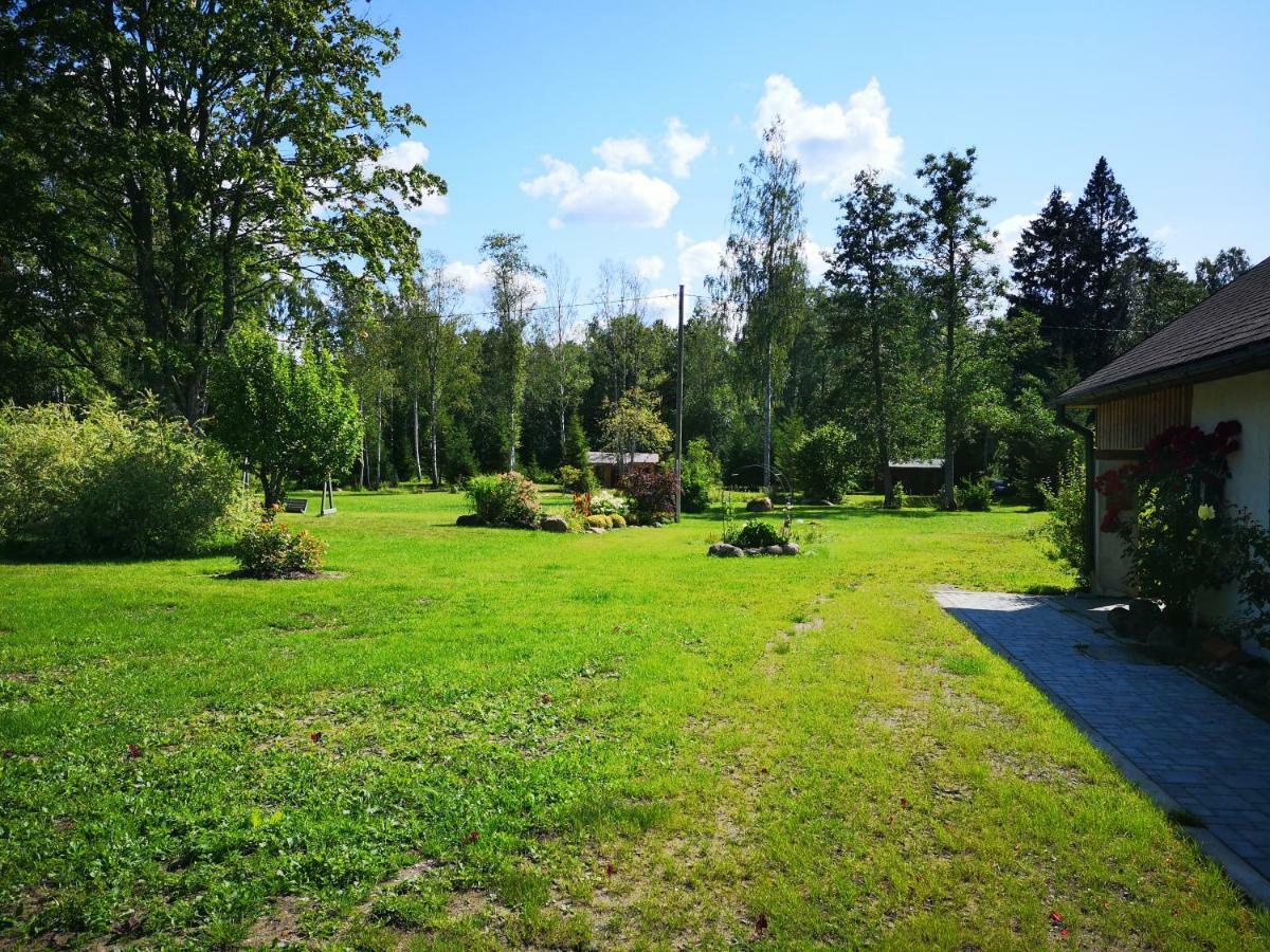 Brivdienu Maja "Raudini" Kaltene Buitenkant foto